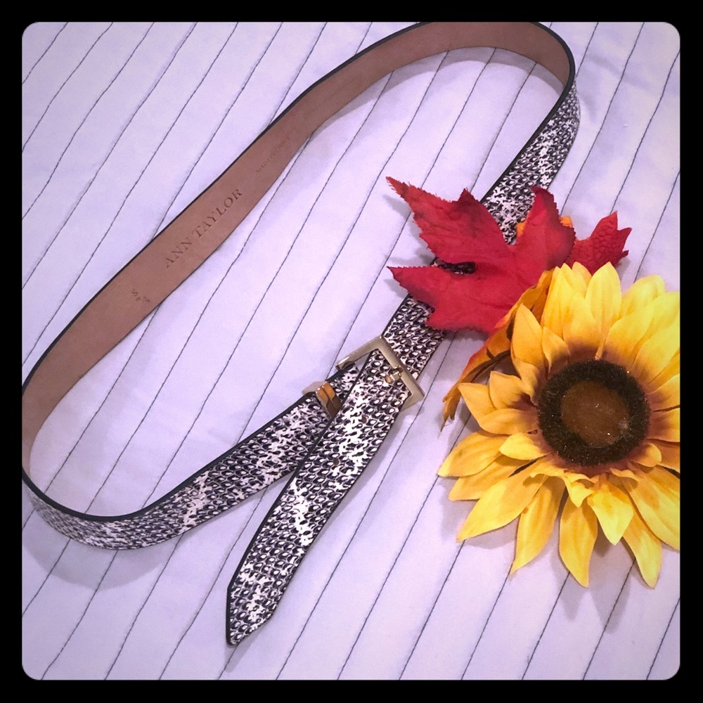 CALVIN KLEIN  Women belt🌹